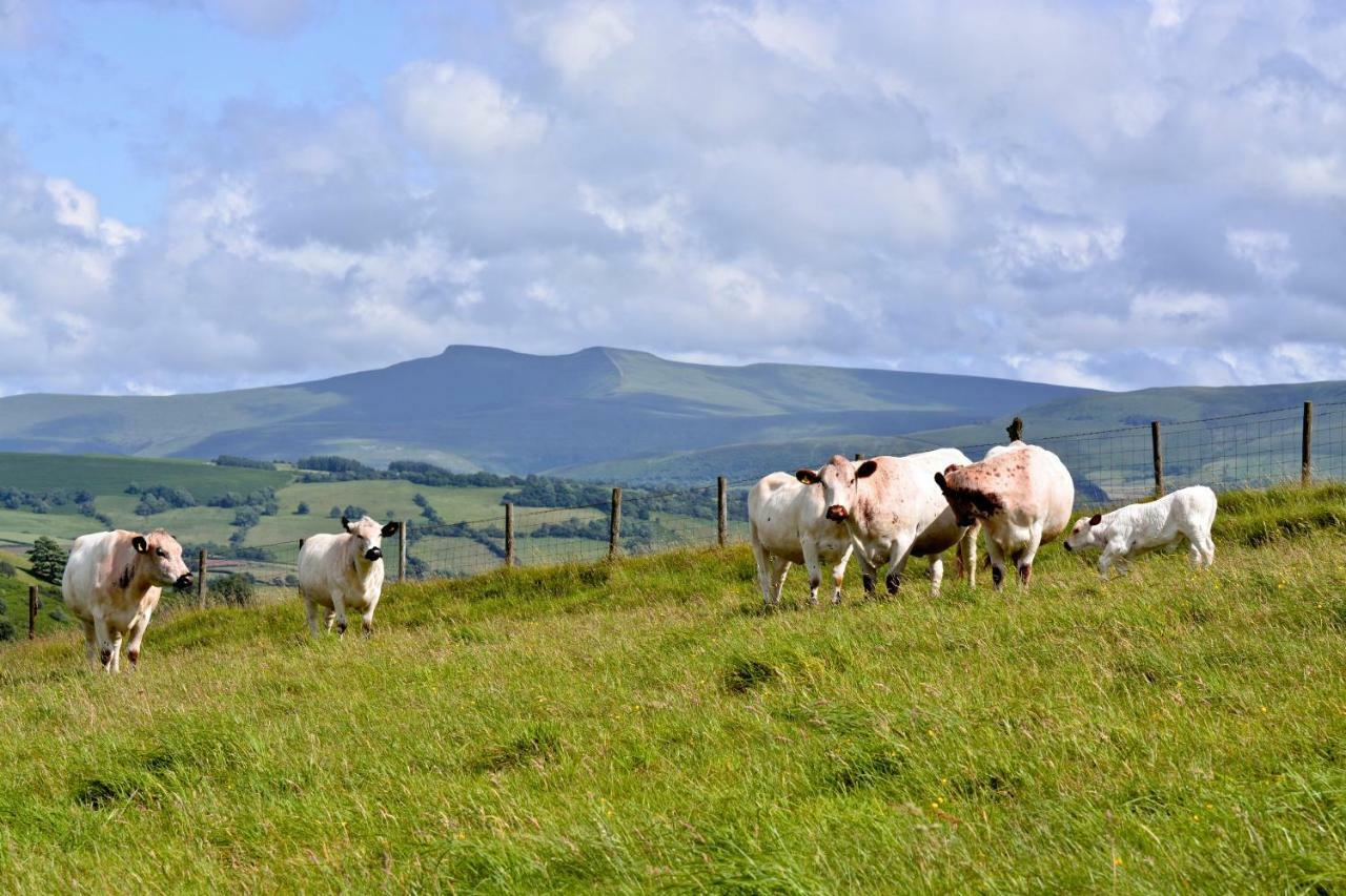 Appartamento Snug Oak Hut With A View On A Welsh Hill Farm Brecon Esterno foto