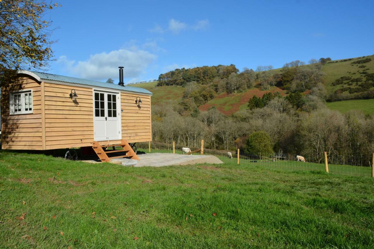Appartamento Snug Oak Hut With A View On A Welsh Hill Farm Brecon Esterno foto